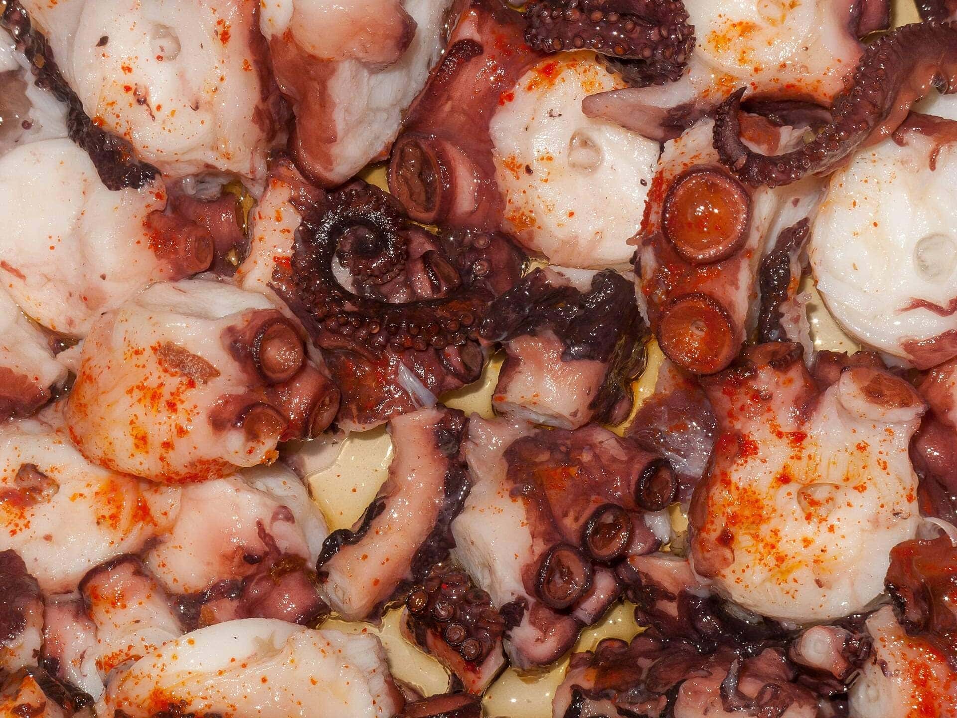 Pulpo á feira en primer plano cenital, aliñado con pimentón y aceite sobre rodajas de patata